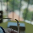 부원약국 이미지