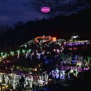 하갈1리마을회관 | 청도 당일치기 여행 + 육회비빔밥 맛집, 카페, 청도프로방스 후기