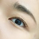 올려그렇지 | 노원속눈썹펌 라보떼래쉬 뿌리까지 바짝 잘 올려주는 대만족 후기