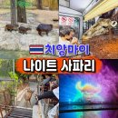 치앙마이 여행 나이트 사파리 입장권 가격 할인 공연 시간