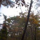 나주식당 이미지