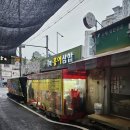 [능곡 맛집] 동네 어르신들의 사랑방! 포차와 홍어삼합, 보쌈 + 두부부침 먹은 내돈내산 후기!