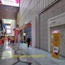 바로디엔지 | 2024 서울 리빙디자인페어 초대권 관람 후기
