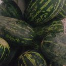 중앙2로43번길 이미지