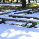 새동해바다 이미지