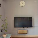 춘천여우그늘 이미지