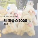 지명 카 서비스 | 트래블쇼 2025에 (혼자) 갔다왔슨: 비추 후기