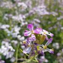 CU한림점 이미지