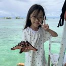 (주)스타피쉬 | 마닐라 근교에서 만난 진짜 바다 휴식 - 리틀 보라카이 깔라타간 데이투어 후기