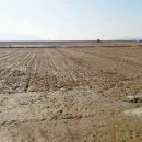 자유부동산공인중개사사무소 이미지