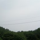 진광약국 네이버블로그