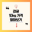 샛별농장 | 감귤 10kg 가격 알아보기