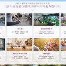 기지시리경로당 네이버블로그