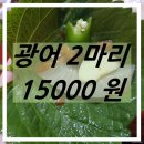 광어두마리15000원 이미지