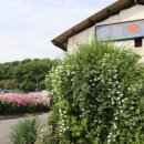 구룡2리 이미지