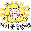 치동초등학교 이미지