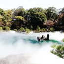 수목다실 이미지