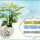 꽃파는사람들 이미지