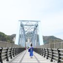 구 왜관터널 네이버블로그