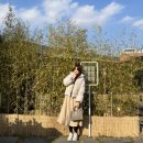 로이성형외과의원 | 결혼준비#번외편_미간보톡스 효과 후기(내돈내산/강남역)