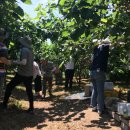 거산1리 이미지