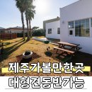 시골밥상 농어촌민박 | 제주독채펜션 제주가볼만한곳 민박 사계새나하우스 반려견 대형견 동반가능