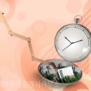 상가재테크부동산공인중개사사무소 이미지