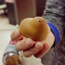 피앤디디자인 이미지