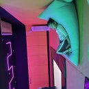 하윤이의 주말 이야기 이미지