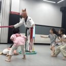 용인대호수태권도장 네이버블로그