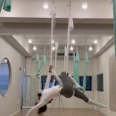 근력강화+바른자세 요가 이미지