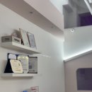 강아지미용실_편안 | 학익동 애견미용실, 강아지가 편안한 미용공간을 준비했습니다.