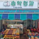 송악청과