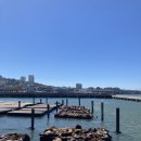 유니언버드 이미지