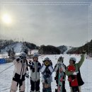 평창 휘닉스파크 이미지