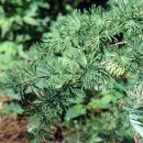 검단산로 이미지