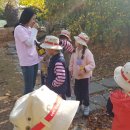 배곧새솔어린이집 이미지