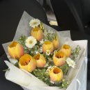 아프레투아 이미지