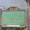 [도로]매탄공원 이미지