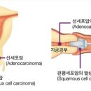 다사가 이미지