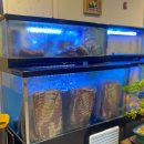 연성푸드(삼겹살) 이미지