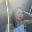 스테이티코 이미지
