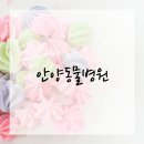 안양동물병원 이미지