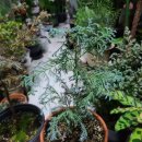 화백농장 이미지