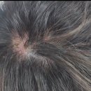 호성프라자약국 이미지