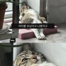 탕탕탕