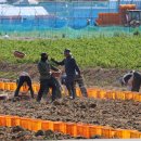 정심축산 이미지