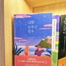 장수네집 | [서평]&lt;나의 눈부신 친구&gt; 엘레나 페란테 - 슬프고 씁쓸한 여성의 우정과 사랑 이야기