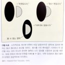 험프리 이미지