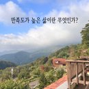 수필로 삶 쓰기 네이버블로그